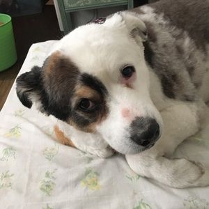 Meet your Posher, Sally